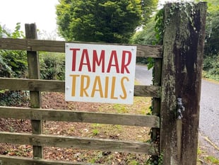 Zip rail ride refused
