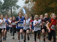 Youngsters tackle tough cross-country