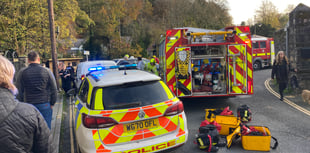 Riverbank rescue after traffic collision