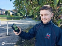 Tavistock boy wild about bats