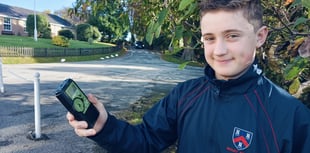 Tavistock boy wild about bats