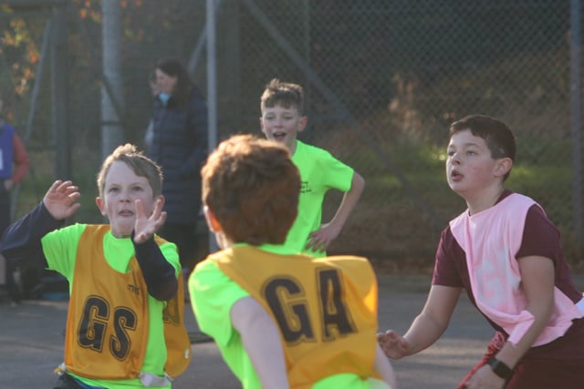 Tavistock primary schools' netball
