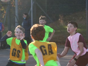 Tavistock primary schools' netball