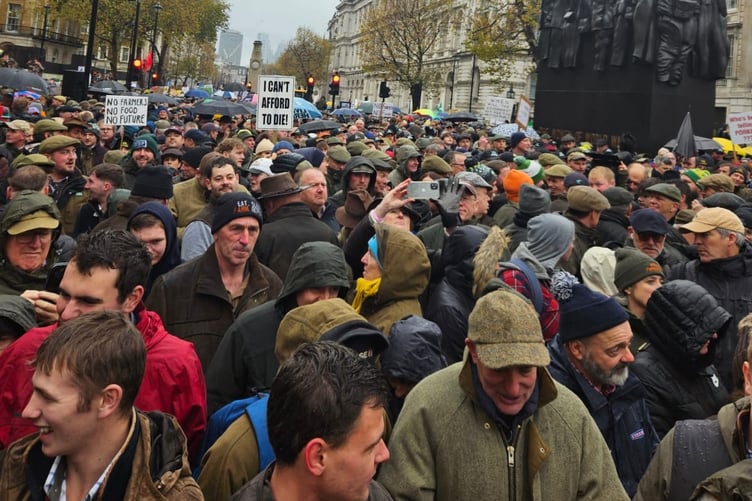 Yelverton farmer Mat Cole and his son Tom joined this mass protest in Whitehall today - seen passing the Cenotaph.