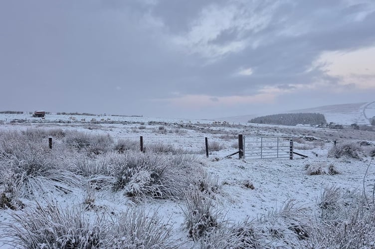 Snow dusting Princetown today - it might look pretty, but is causing travel and school disruption for man