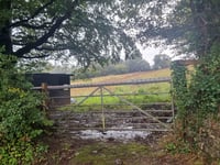 Planners throw out Tamar Valley hedge removal plan for fifth time