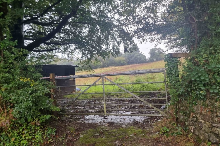 THE existing field entrance at Drakewalls in the Tamar Valley.