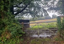 Planners throw out Tamar Valley hedge removal plan for fifth time