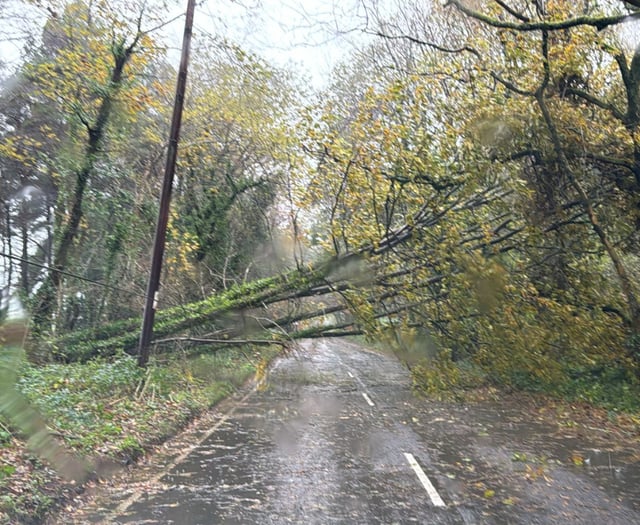 Devon recovers from Storm Bert
