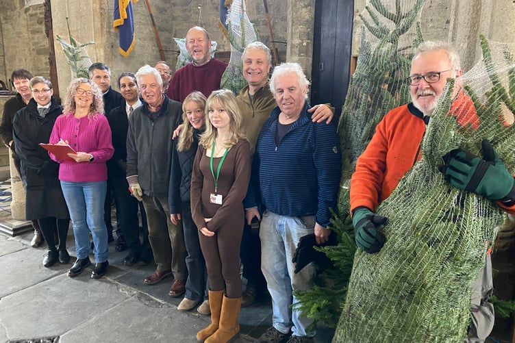Tavistock Christmas Tree Festival is taking shape with the delivery of the trees themselves fresh from the farm.