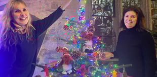 Forest magic at Tavistock Christmas Tree Festival