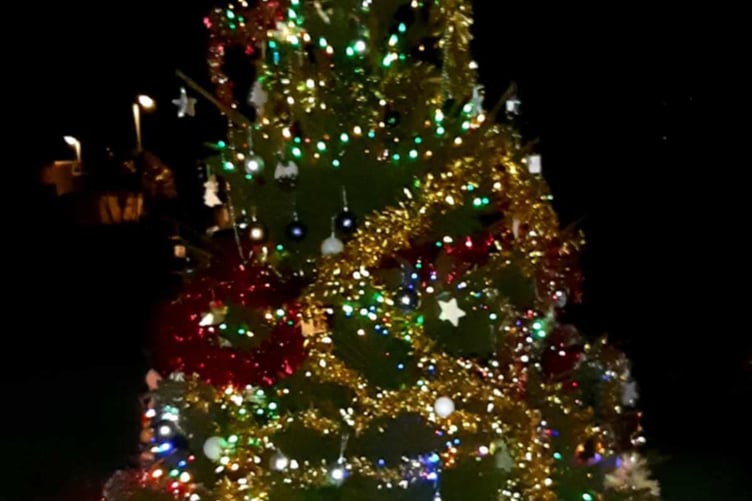 Gunnislake's Woodland Way community Christmas tree.