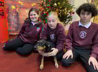 School welcomes four-legged classmate