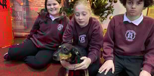 School welcomes four-legged classmate