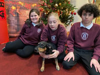School welcomes four-legged classmate