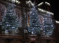 Charity trees light up town hall