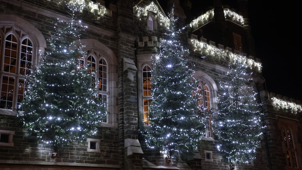 Photos of christmas charity trees