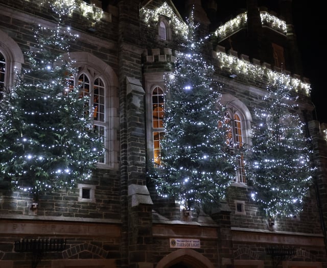 Charity trees light up town hall
