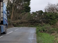 Storm Darragh wreaks havoc in West Devon