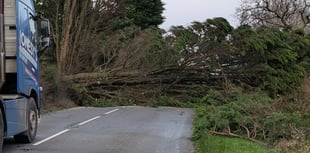 Storm Darragh wreaks havoc in West Devon