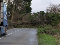 Storm Darragh wreaks havoc in West Devon