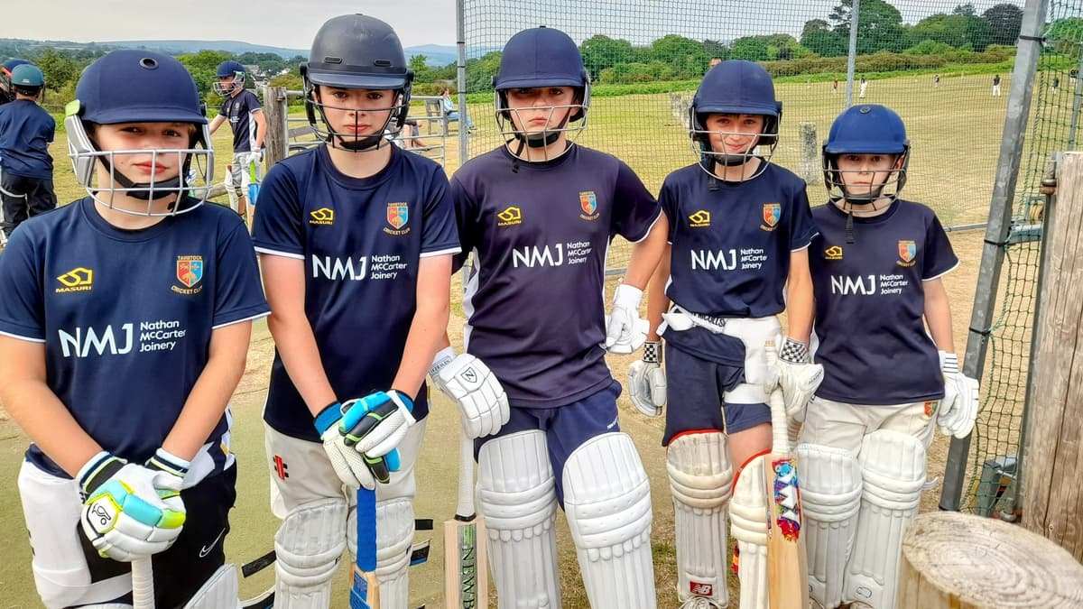 Tavistock Cricket Club nets appeal
