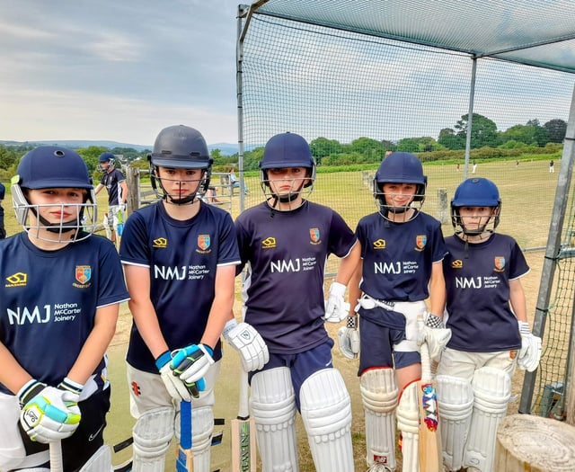 Cricket club nets appeal