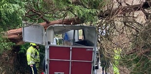 Horses unhurt after trailer damage