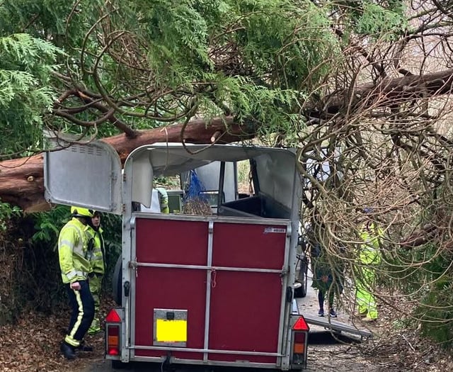 Horses unhurt after trailer damage