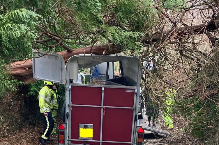 A horse box towed by a car was stuck under a fallen tree and had to be freed by a Yelverton Fire and Rescue crew this afternoon