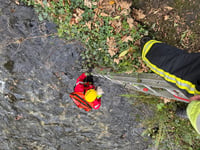 Dog saved from river