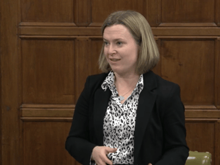 MP questions Navy warship 'sale'