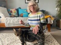 The 'purrfect' foster home