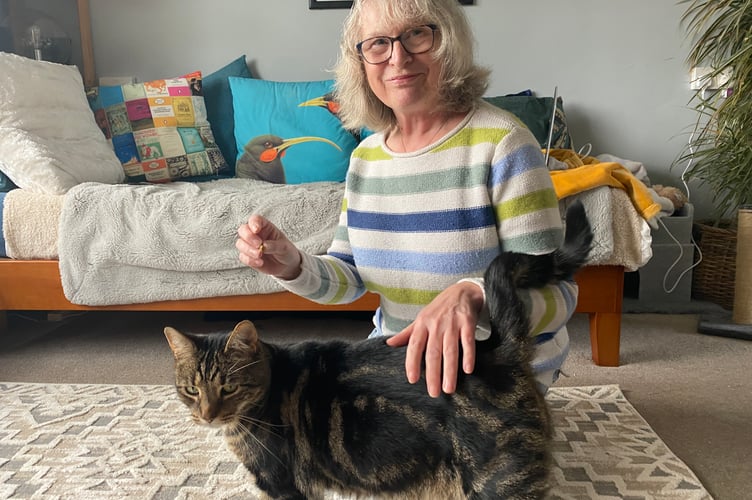 Denise Gatley is looking for a forever home for Enzo who is adopted through the Cats Protection charity.