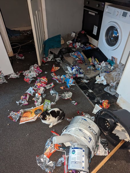 New figures released by the RSPCA show a 23 percent increase in pets abandoned at home over festive period, often in appalling conditions. (Picture: RSPCA)