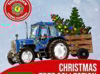 Tavistock Young Farmers collecting Christmas trees