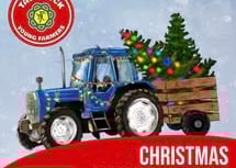 Tavistock Young Farmers collecting Christmas trees