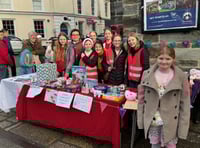 Tavistock Lions Club young ambassadors get stuck into community role