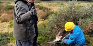 Final call to apply for young people's 'green' course on Dartmoor