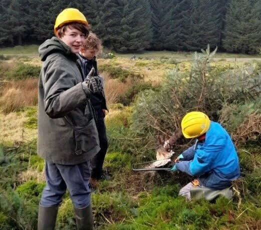 Final call to apply for young people's 'green' course on Dartmoor
