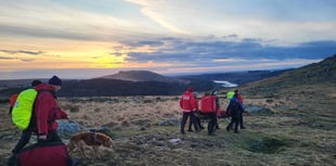 Walker hurt by dog rescued by volunteers