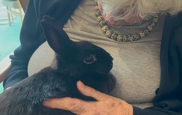 Appeal for animal therapy organisation