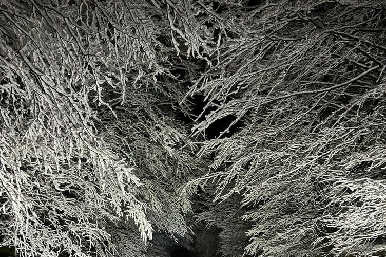 Dartmoor putting on a stunning snowy scene this Tuesday evening.
Taken by Tayde Cornish.