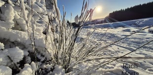 In pictures: snow on Dartmoor
