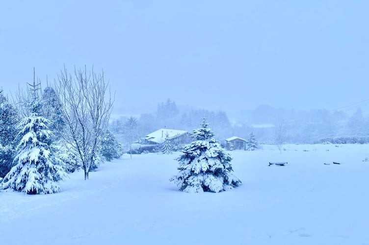 Thick snow on Wednesday evening on Dartmoor. Picture: Mark Shackleton.
