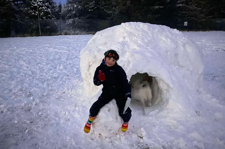 Rose Wildgoose with pet Bonnie exploring the igloo she and her family with friends painstakingly built in Princetown yesterday (Wednesday). 