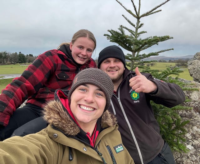 More than £1,000 raised with young farmers' Christmas tree collection
