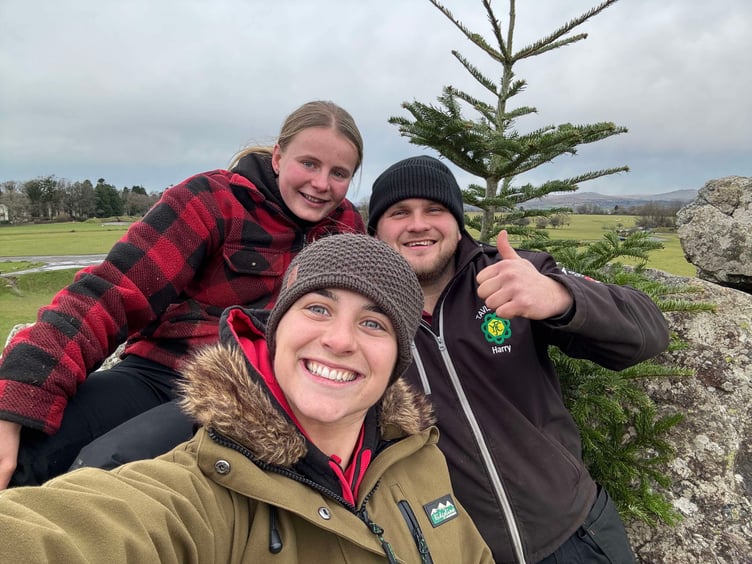 Young farmers Katie Murrin, Laura Westcott and Harry Ball out collecting Christmas trees