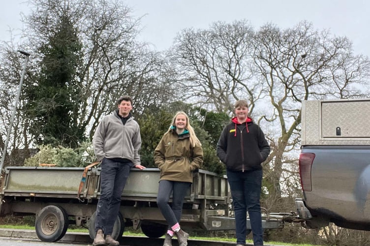 Jordan Taylor, Izzy Cox and Henry Cox, with trees on the trailer