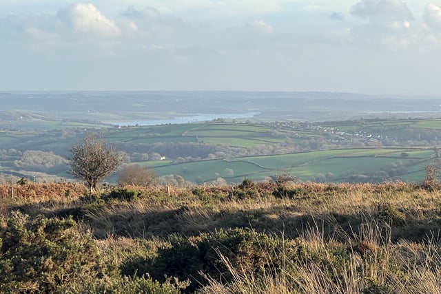 Planned walks offer chance to explore Tamar Valley